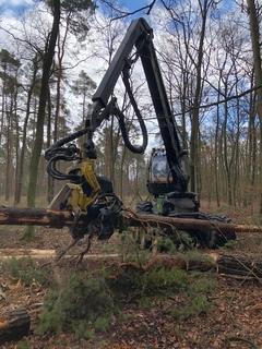Harvester im Einsatz