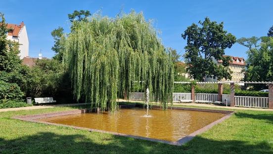 Anfang August wirkte das Wasser im Brunnen am Walther-Rathenau-Platz noch recht klar. Sonne und Wärme sorgen für eine erhöhte Algenbildung.