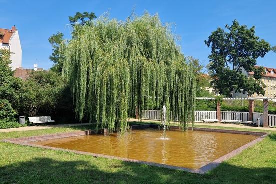 Anfang August wirkte das Wasser im Brunnen am Walther-Rathenau-Platz noch recht klar. Sonne und Wärme sorgen für eine erhöhte Algenbildung.