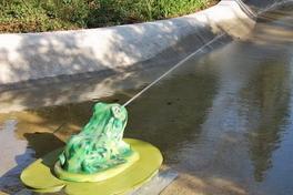 Der Frosch ist wieder da