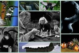 Neue Ausstellung im SORAT Hotel in Brandenburg an der Havel