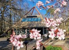Die Umweltpyramide im anbrechenden Frühling.