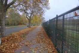 Laub auf einem Gehweg