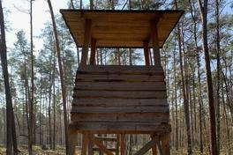 Hochsitz im Wald