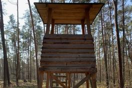 Hochsitz im Wald