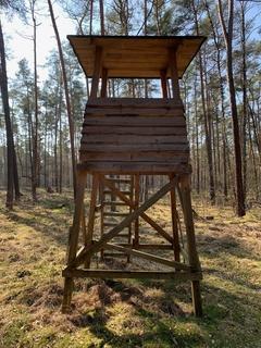 Hochsitz im Wald