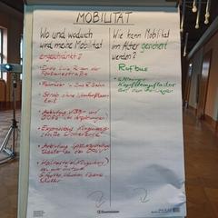 Auf einer Flipchart wurden Punkte zum Thema Mobilität notiert
