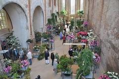 Bild: Stadt Brandenburg an der Havel Foto der Kirche als Blumenhalle zur Buga 2015