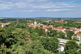 Blick vom Marienberg aufs Stadtgrün.
