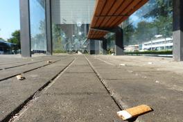 "Bleib sauber, meine Havelstadt - Projekt Kippenstummel“