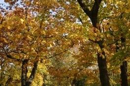 Marienberg wieder offen