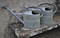 Graue Gießkannen aus Metall auf einer Bank. Bild: psaja100/pixabay