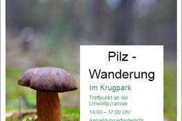 Pilzwanderung im Krugpark am 10. Oktober 2020