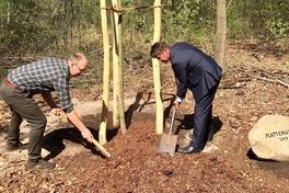 Baum des Jahres gepflanzt