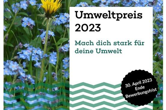 Plakat zum Umweltpreis 2023 mit einer Blumenwiese im Hintergrund und Text im Vordergrund