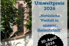 Flyer zum Umweltpreis