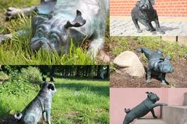 Waldmöpse in Brandenburg an der Havel