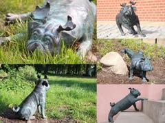 Waldmöpse in Brandenburg an der Havel Waldmöpse in Brandenburg an der Havel