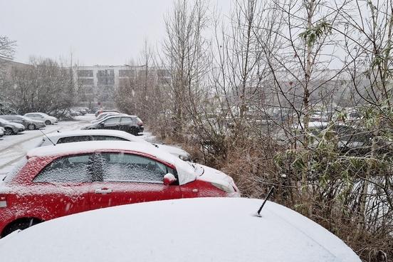 Der Schnee sollte nur von kurzer Dauer sein, sodass ab 13. Januar 2025 wildwachsende Gehölze entfernt werden können.