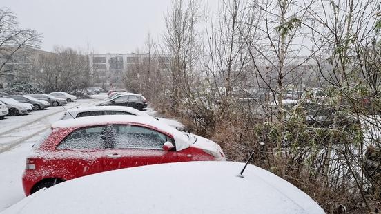 Der Schnee sollte nur von kurzer Dauer sein, sodass ab 13. Januar 2025 wildwachsende Gehölze entfernt werden können.