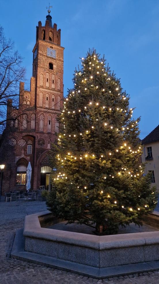 Und schon leuchtet und funkelt die Tanne.