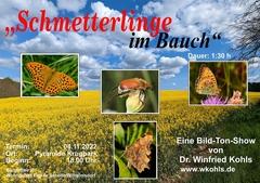 Im Hintergrund ein Rapsfeld und blauer Himmel. Im Vordergrund die Aufschrift "Schmetterlinge im Bauch" und verschiedene Bilder von Schmetterlingen.