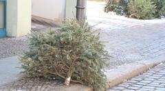 Weihnachtsbaum vor der Tür