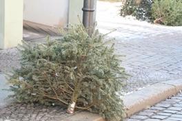 Weihnachtsbaum vor der Tür