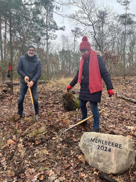 Ehepaar Mechthild und Peter Reck beim ausheben der Pflanzgrube