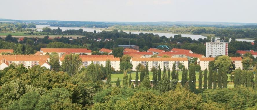 Nord Luftbild von einem Wohnviertel mit vielen Bäumen und Wohnblocks mit roten Spitzdächern