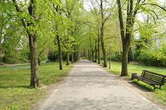 Der Hauptweg im Humboldthain