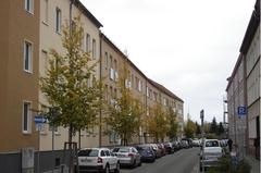 Klima- und Naturschutzmaßnahmen Straße mit jungen Bäumen am Rand