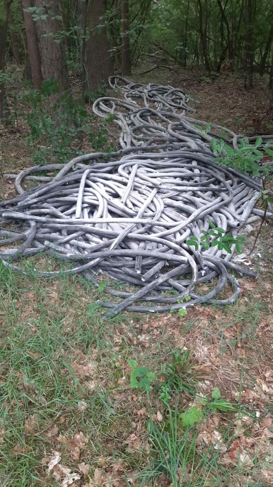 Illegal entsorgte Kabel im Waldgebiet