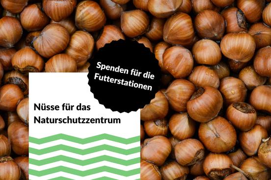 Nüsse für das Naturschutzzentrum gesucht