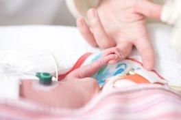 Ein Frühgeborenes greift die Hand eines Erwachsenen. Quelle: Universitätsklinikum Brandenburg an der Havel