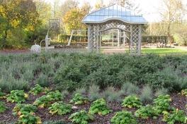 Umfeldgestaltung am von Saldern Gymnasium abgeschlossen