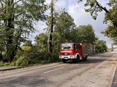 Feuerwehr fährt mit Blaulicht den Grillendamm entlang, am Straßenrand abgebrochene Äste der Bäume