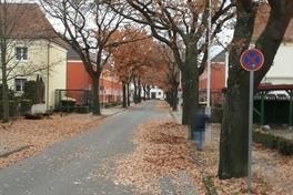 Herbstzeit – Zeit der Laubbeseitigung