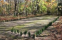 Jüdischer Friedhof II Weg durch den Friedhof