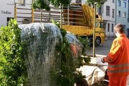 BUGA-Bäume auf dem Weg nach Premnitz