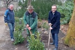 Frühlingserwachen im Stadtgebiet – Pflanzungen beginnen