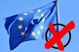 Teilnahme von Unionsbürgern an der Wahl zum Europäischen Parlament in der Bundesrepublik Deutschland am 26. Mai 2019