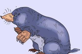 Aktualisierung: LESUNG – Molly Maulwurf baut ihr Haus – ABGESAGT