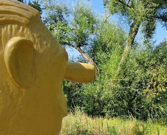 Wer frisches Grün vor der Nase mag, kann sich am Aufbau des Bürgerwaldes beteiligen.