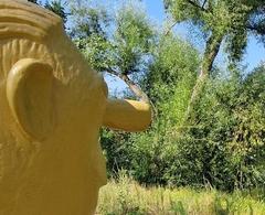 Wer frisches Grün vor der Nase mag, kann sich am Aufbau des Bürgerwaldes beteiligen.