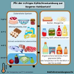 Innendarstellung eines Kühlschrankes mit unterschiedlichen Lebensmitteln und deren richtigen Zuordnung in den jeweiligen Etagen und Fächern