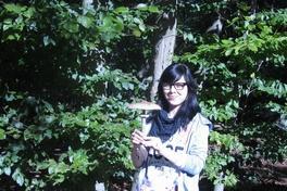 Familienwaldtag mit Pilzwanderung im Krugpark