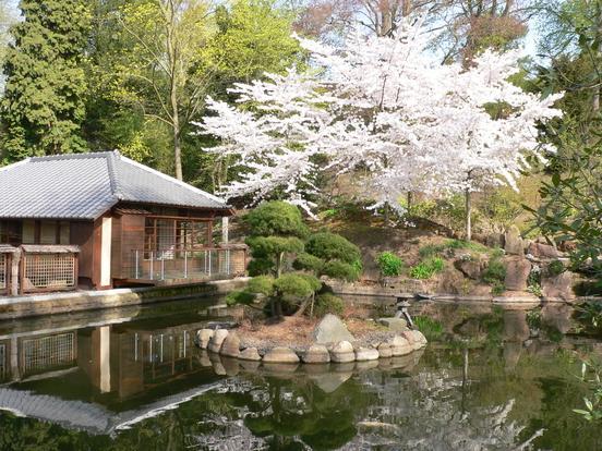 Hütte und Teich im Japanischen Garten