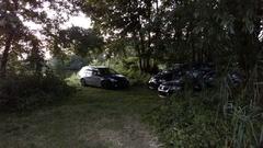 Autos parken auf einer Wiese unter Bäumen