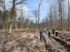 gemeinsam beim pflanzen